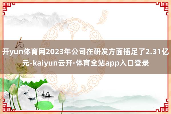 开yun体育网2023年公司在研发方面插足了2.31亿元-kaiyun云开·体育全站app入口登录